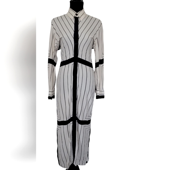 Zara Blogger Faves Striped Button Down Form fitting Maxi Dress - Picture 14 of 15